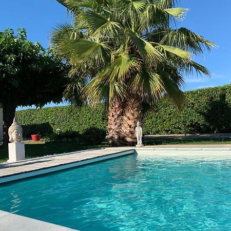 Atelier Des Vidaux Bed & Breakfast Saint-Aunes Eksteriør bilde