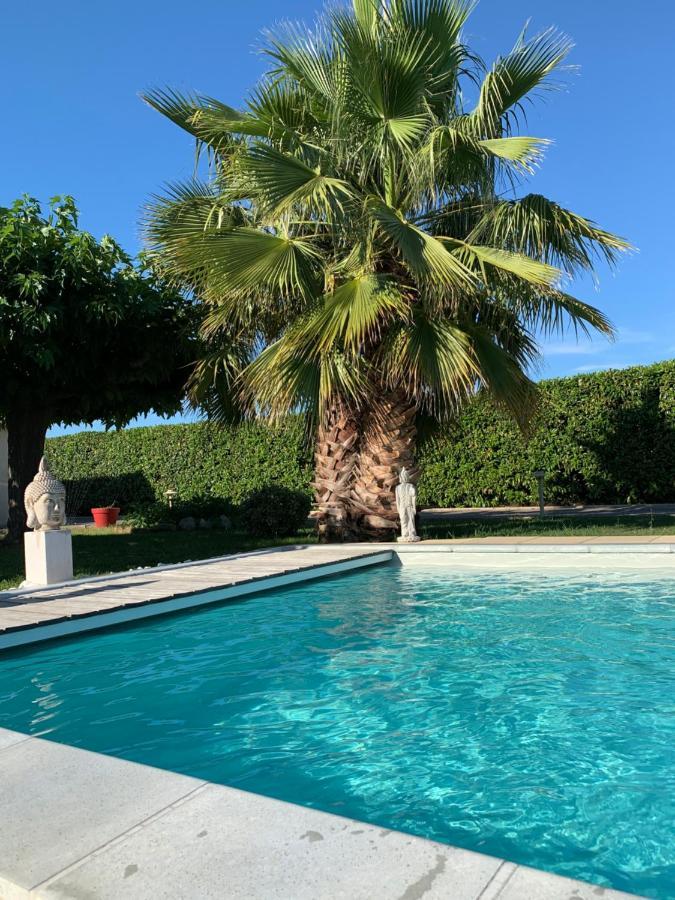Atelier Des Vidaux Bed & Breakfast Saint-Aunes Eksteriør bilde